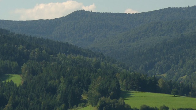 青山视频素材