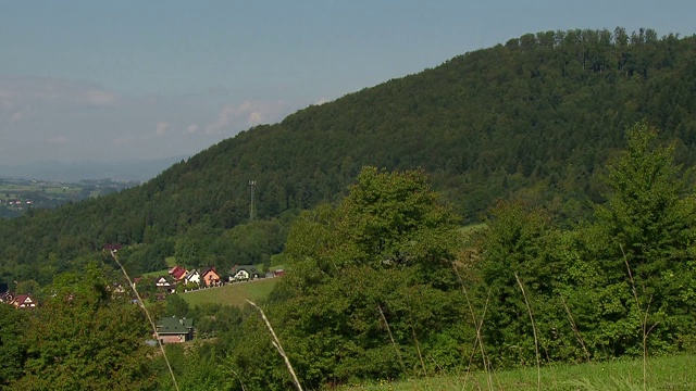 青山视频素材