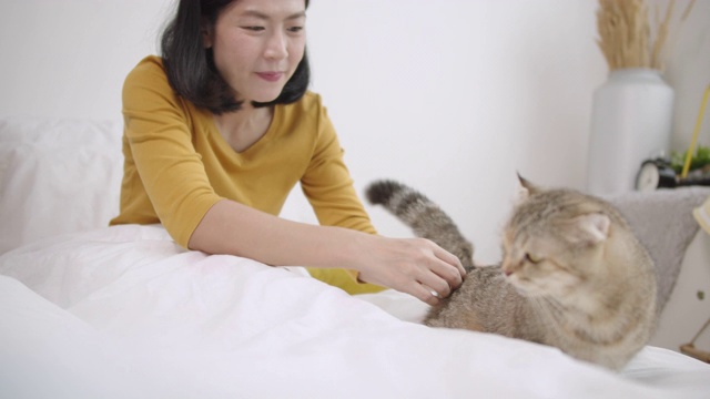 亚洲女人在卧室里玩猫。视频素材