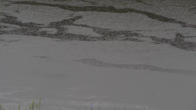 大雨冲击着湖面，雨滴落了下来视频素材