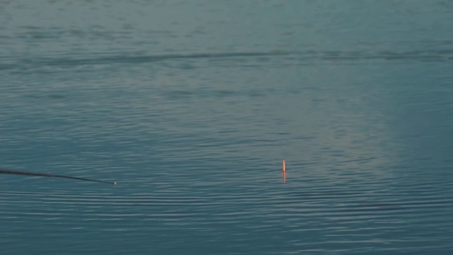 浮子周期性地沉入湖中。有咬视频素材