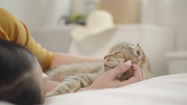 可爱的亚洲女人和可爱的猫一起享受和放松在床上。视频素材