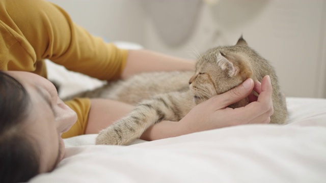 在家里的床上，一只可爱的猫在亚洲女性主人的怀里睡觉。视频素材