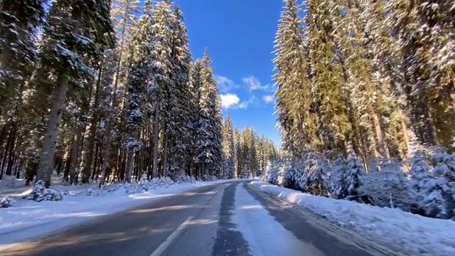 冬天，在一个阳光明媚的日子里，在一条空旷的道路上，沿着白雪覆盖的森林行驶视频素材