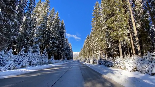 驾车穿过冰雪覆盖的森林在冬天的景观视频素材