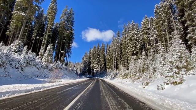 在一个空旷的道路上驾驶沿着积雪覆盖的森林在冬天视频素材