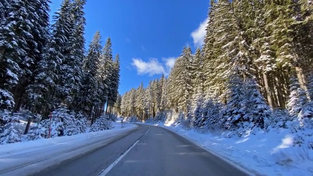 开车的观点，在雪地的乡村道路通过雪白的森林视频素材