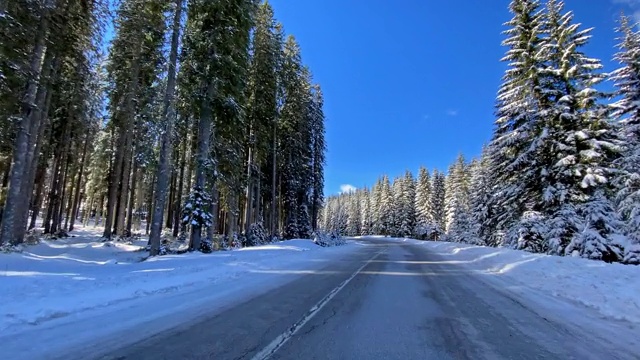 开车的观点，在雪地的乡村道路通过白色的森林视频素材