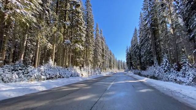 冬天，在一个阳光明媚的日子里，在一条空旷的道路上，沿着白雪覆盖的森林行驶视频素材