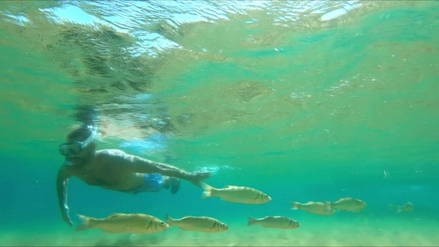 运动潜水，水下浮潜，在地中海潜水视频素材