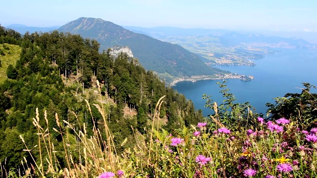 从眺望Aussichtsplatz Spitzlsteinalm，滑向特朗西湖右侧的阿尔卑斯山和鲜花。奥地利景观视频素材