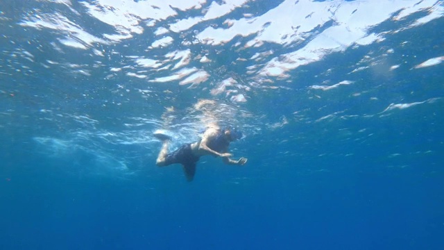 夏天的时候，人们会在地中海潜水、浮潜、潜水寻找鱼视频素材