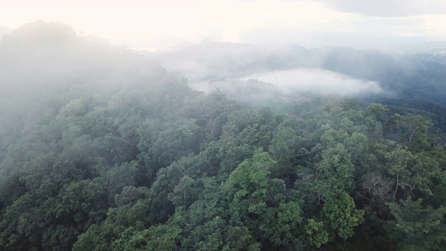 顶视图晨雾和视点与山的层次视频素材