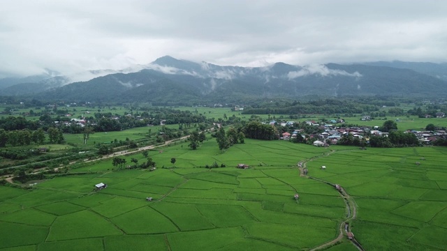 泰国北部梯田视频素材