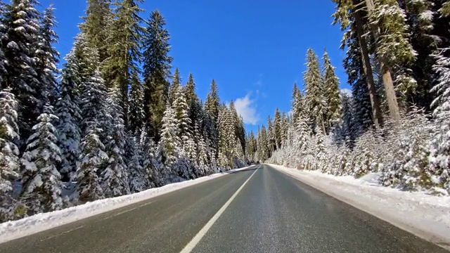 行车视点在白雪覆盖的乡村道路穿过白雪覆盖的森林视频素材