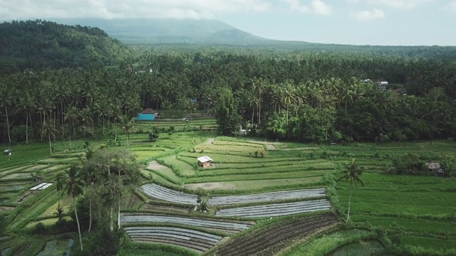 印度尼西亚巴厘岛Karangasem地区的村庄和农田视频素材