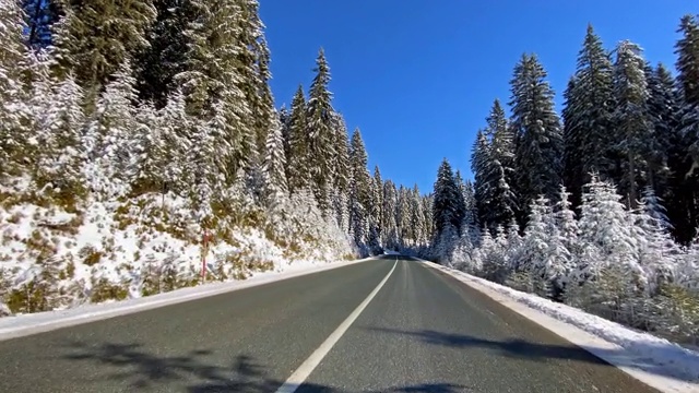 开车的观点，在雪地的乡村道路通过白色的森林视频素材