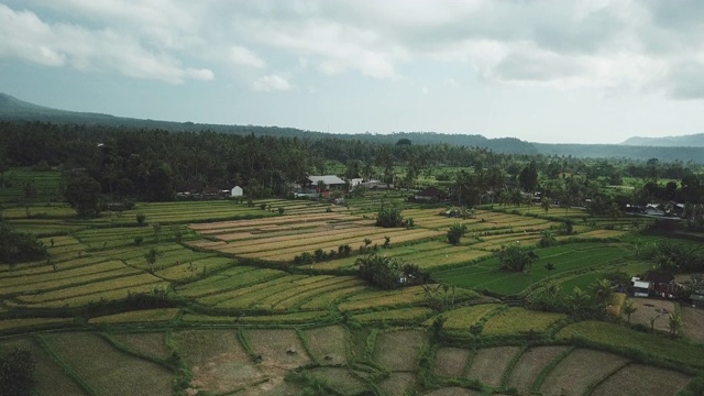 印度尼西亚巴厘岛Karangasem地区的村庄和农田视频素材