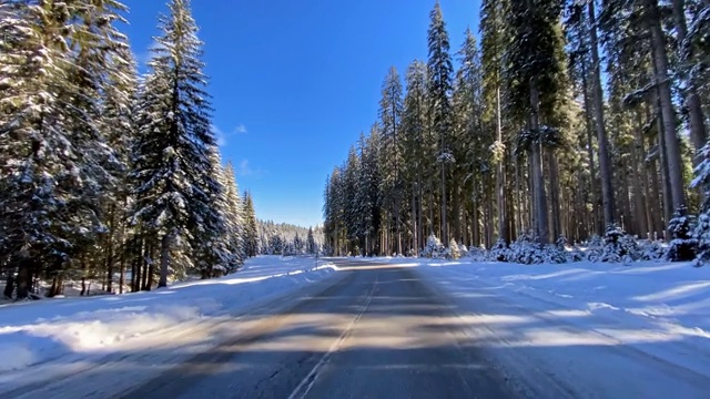 驾车穿过冰雪覆盖的森林在冬天的景观视频素材