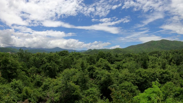 高角度观赏森林和高山视频素材