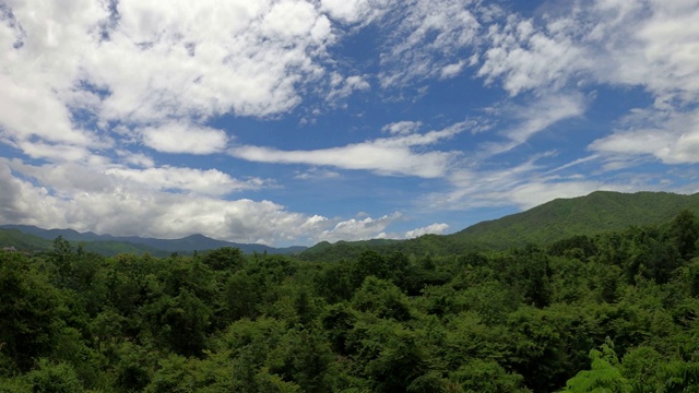 高角度观赏森林和高山视频素材