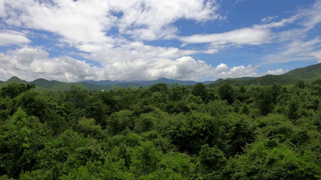 高角度观赏森林和高山视频素材