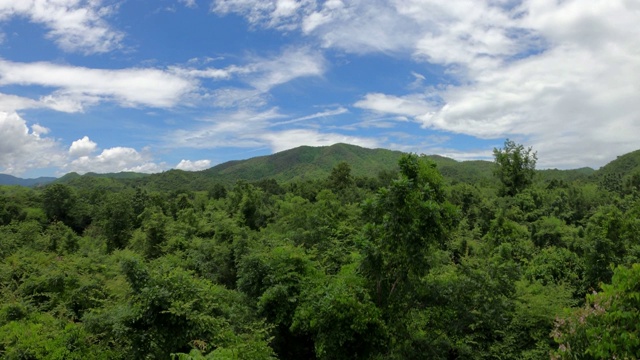 高角度观赏森林和高山视频素材