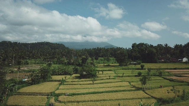 印度尼西亚巴厘岛Karangasem地区的村庄和农田视频素材