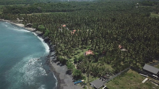 在Karangasem地区/巴厘岛的热带雨林海景，印度尼西亚视频素材