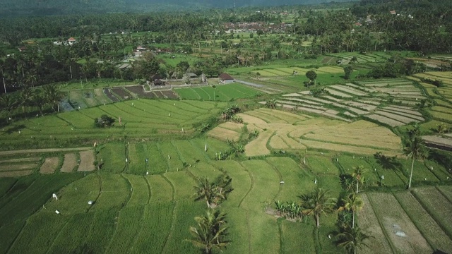 印度尼西亚巴厘岛Karangasem地区的村庄和农田视频素材