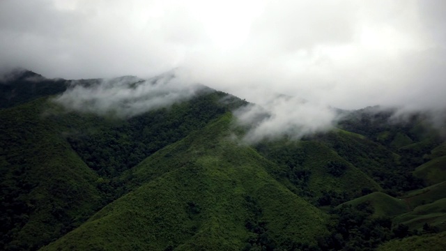 鸟瞰郁郁葱葱的绿色雨林山视频素材