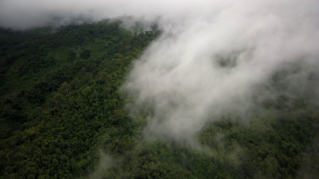 郁郁葱葱的热带雨林山鸟瞰图视频素材