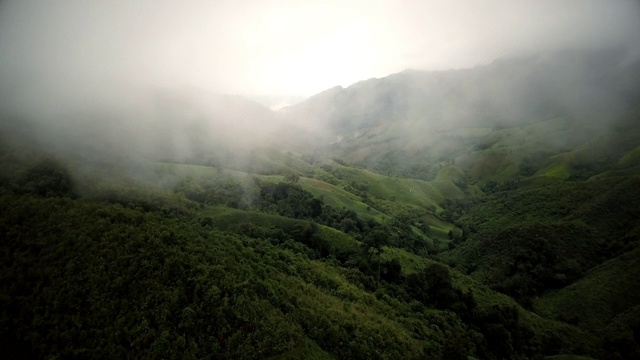 鸟瞰郁郁葱葱的绿色雨林山视频素材