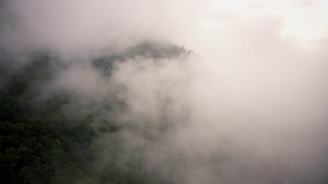 鸟瞰郁郁葱葱的绿色雨林山视频素材