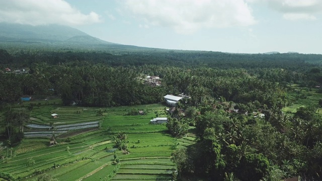 印度尼西亚巴厘岛Karangasem地区的村庄和农田视频素材