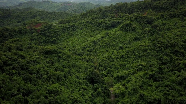 鸟瞰郁郁葱葱的绿色雨林山视频素材