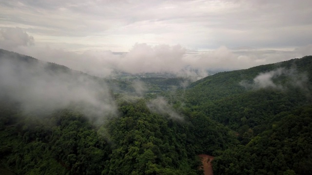 鸟瞰郁郁葱葱的绿色雨林山视频素材