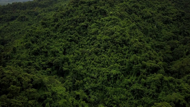 鸟瞰郁郁葱葱的绿色雨林山视频素材