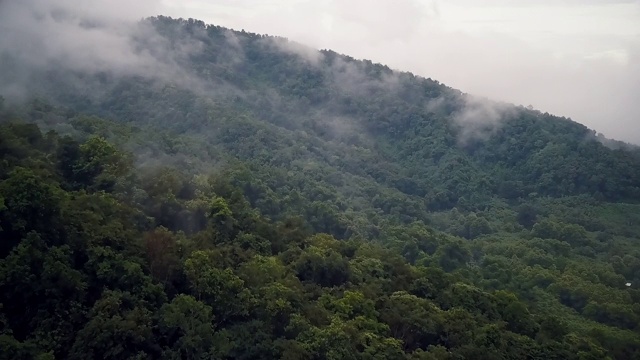 鸟瞰郁郁葱葱的绿色雨林山视频素材