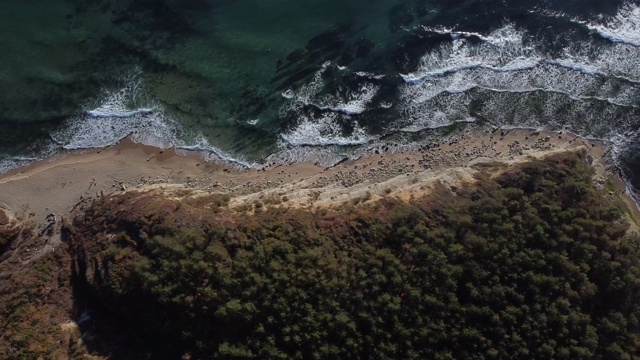 夏天海洋场景视频素材