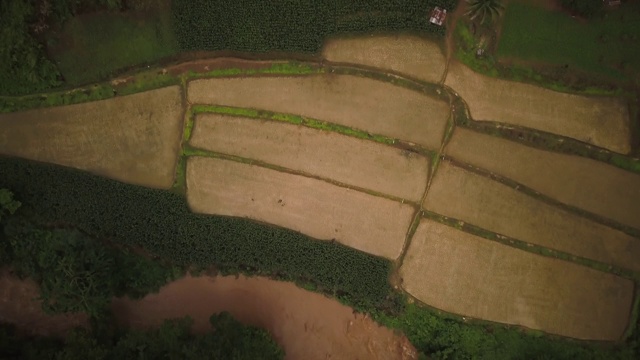 鸟瞰郁郁葱葱的绿色雨林山视频素材