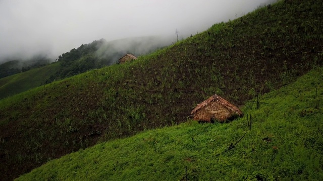 鸟瞰郁郁葱葱的绿色雨林山视频素材