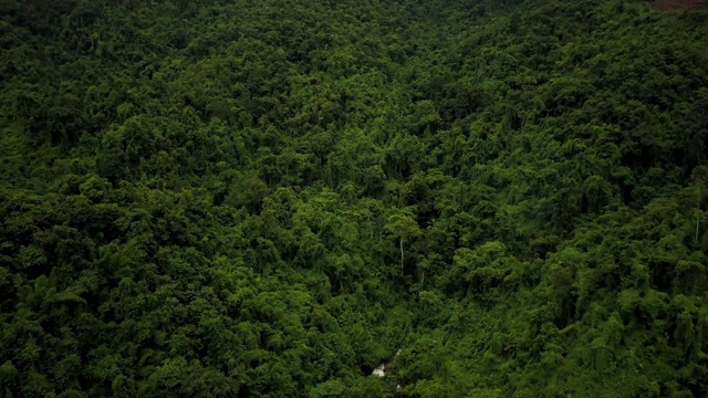 鸟瞰郁郁葱葱的绿色雨林山视频素材