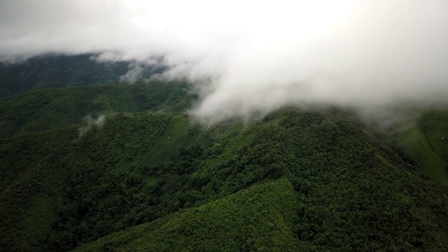 鸟瞰郁郁葱葱的绿色雨林山视频素材