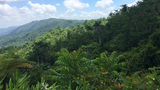 Hanabanilla Look Out in the Mountain Road to 'Topes de Collantes, Cienfuegos，古巴视频素材