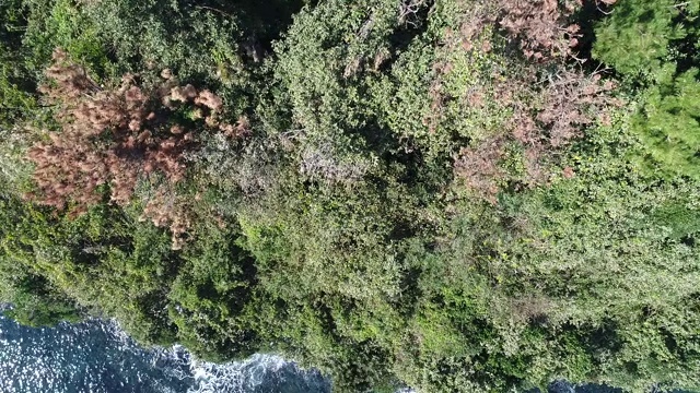 Gaetkkak Jusangjeolli Cliff (Gaetkkak柱状接头)/ Seogwipo-si，济州岛，韩国视频素材