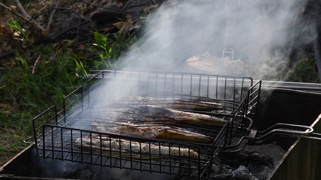 准备烧烤野餐食物。烟熏烤鱼视频素材