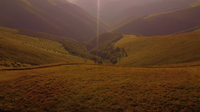 在多云的夏季天气，高山覆盖着绿色云杉森林的鸟瞰图。视频素材