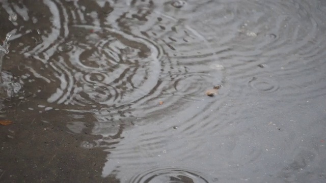 缓慢的运动。雨滴落在水坑上的特写镜头。视频素材