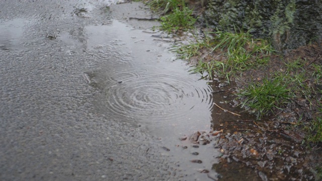 雨点落在人行道上的水坑上。视频素材